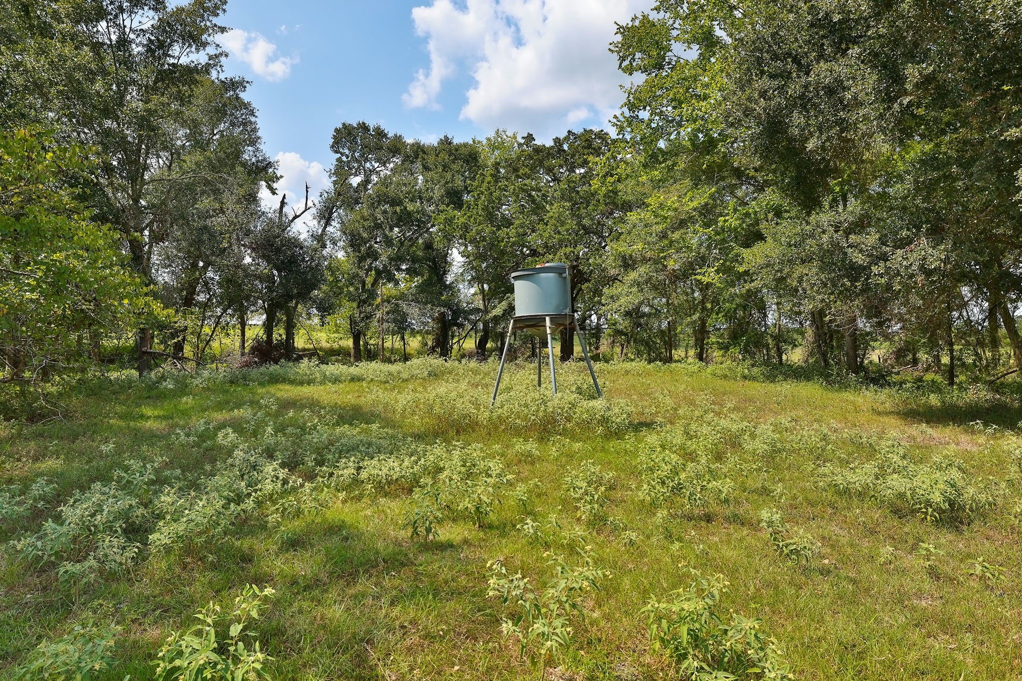24783 Nine Bar Road Hempstead, TX 77445 - Photo 24 of 42 a view of outdoor space with trees all around