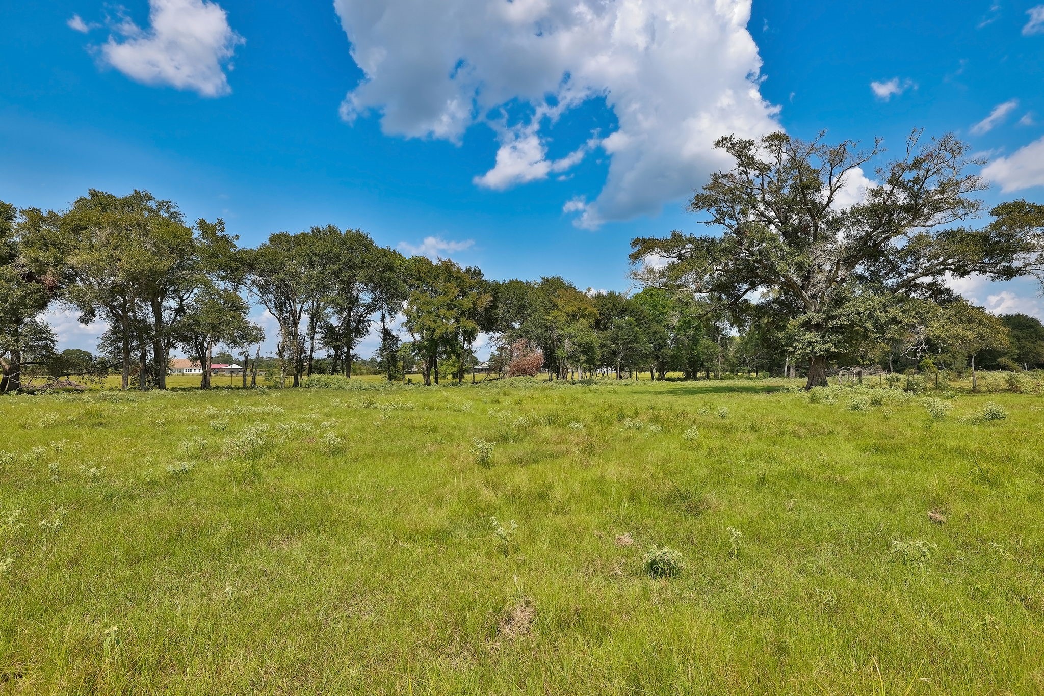 24783 Nine Bar Road Hempstead, TX 77445 - Photo 28 of 42 a view of yard with green space