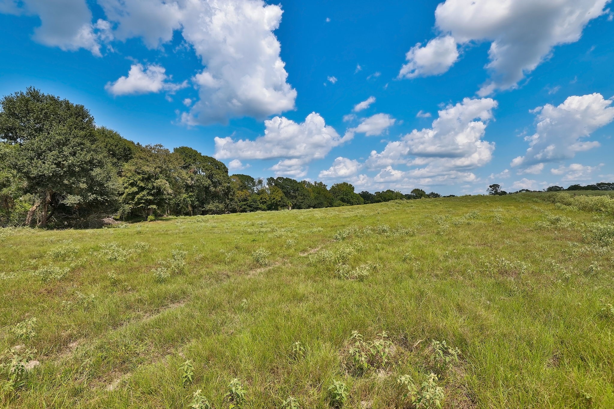 24783 Nine Bar Road Hempstead, TX 77445 - Photo 29 of 42