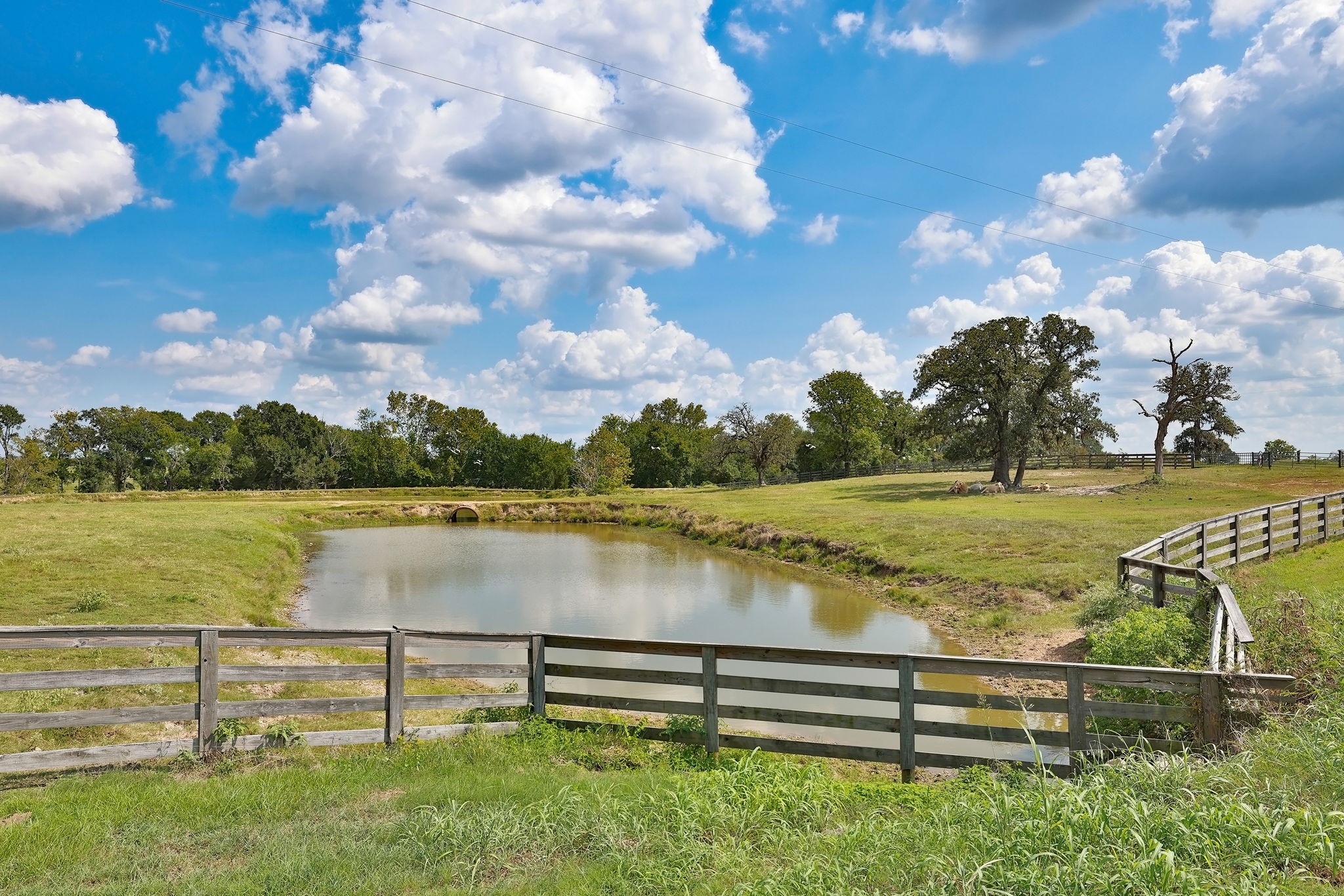 24783 Nine Bar Road Hempstead, TX 77445 - Photo 31 of 42 a view of a lake with outdoor space