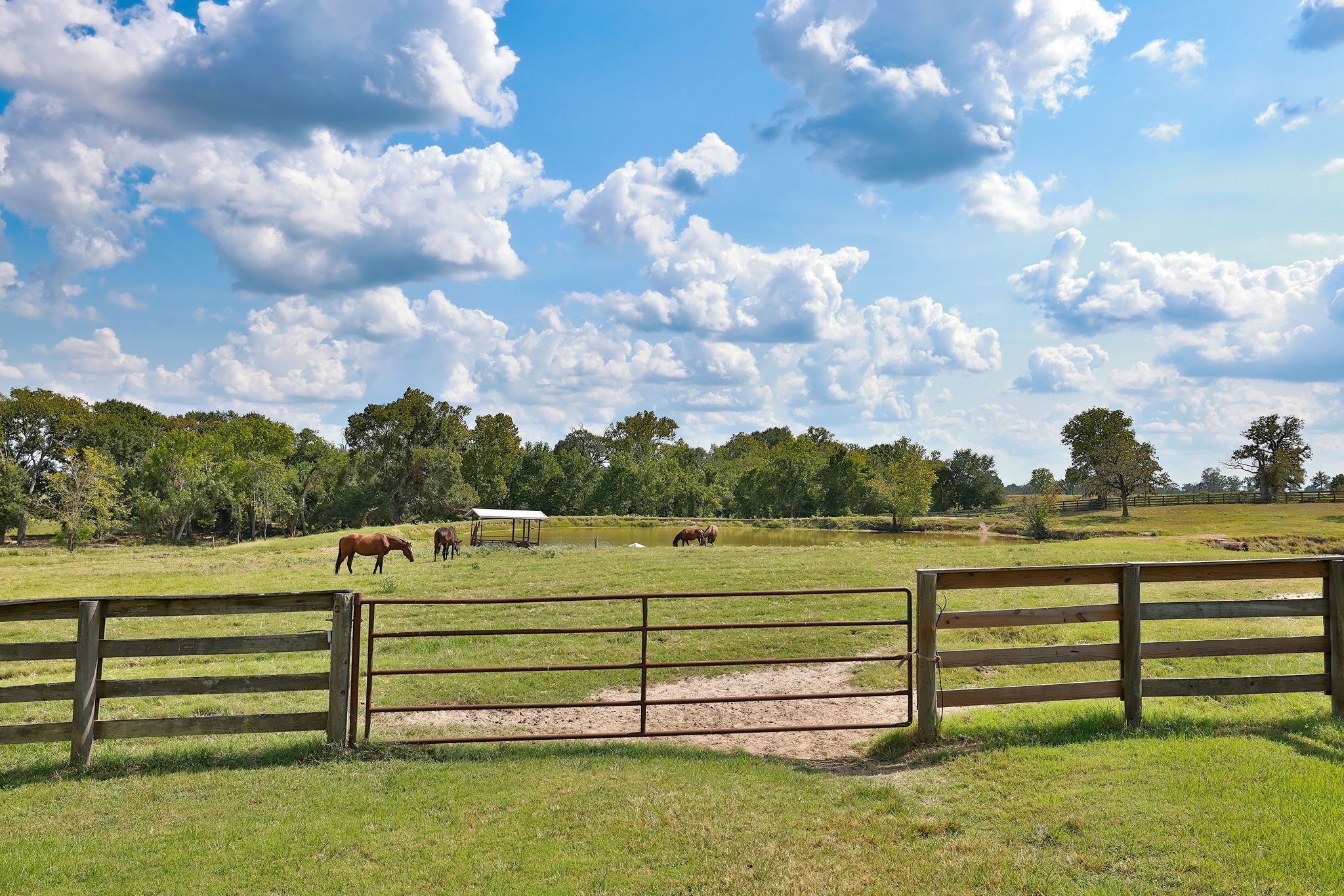 24783 Nine Bar Road Hempstead, TX 77445 - Photo 35 of 42 a view of a bench in the middle of a yard