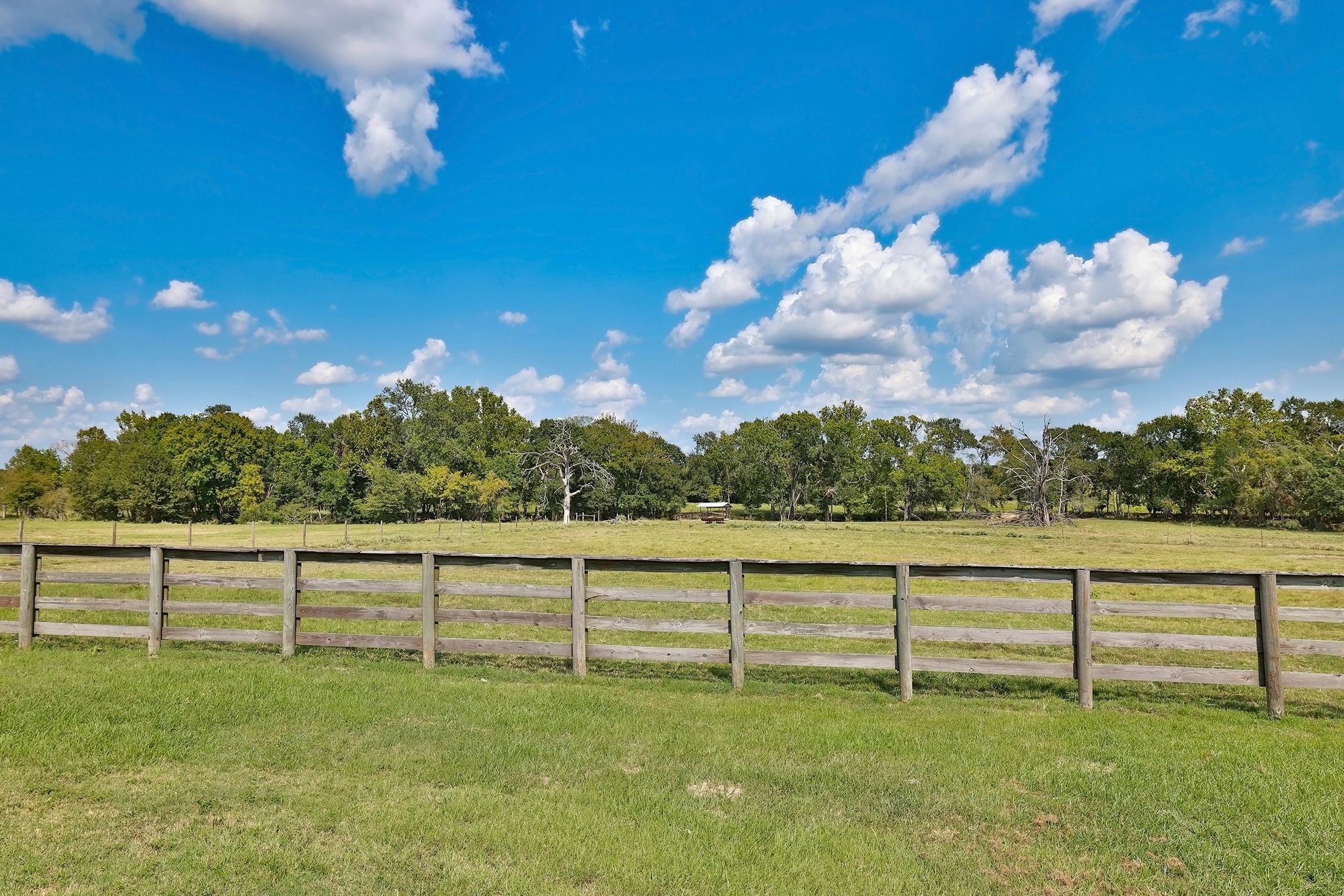 24783 Nine Bar Road Hempstead, TX 77445 - Photo 36 of 42 a view of a golf course with a lake