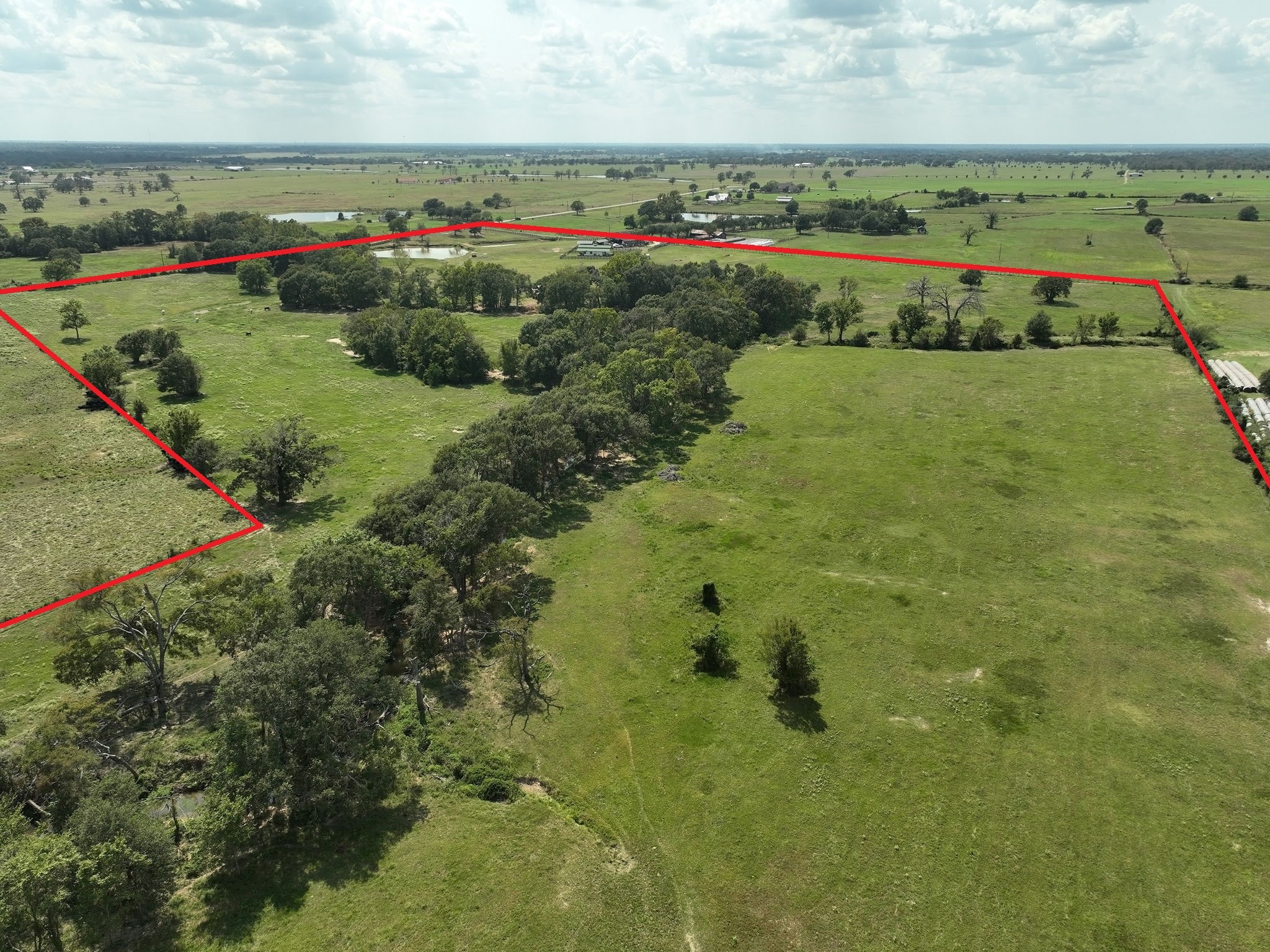 24783 Nine Bar Road Hempstead, TX 77445 - Photo 39 of 42