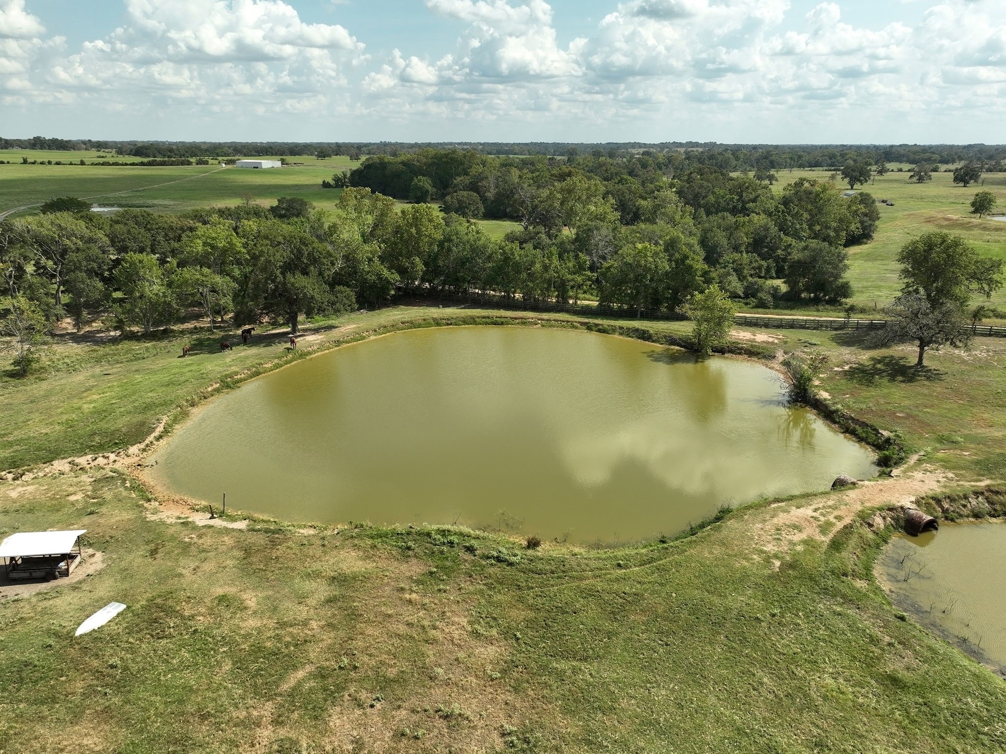 24783 Nine Bar Road Hempstead, TX 77445 - Photo 4 of 42 a view of a swimming pool and an outdoor space