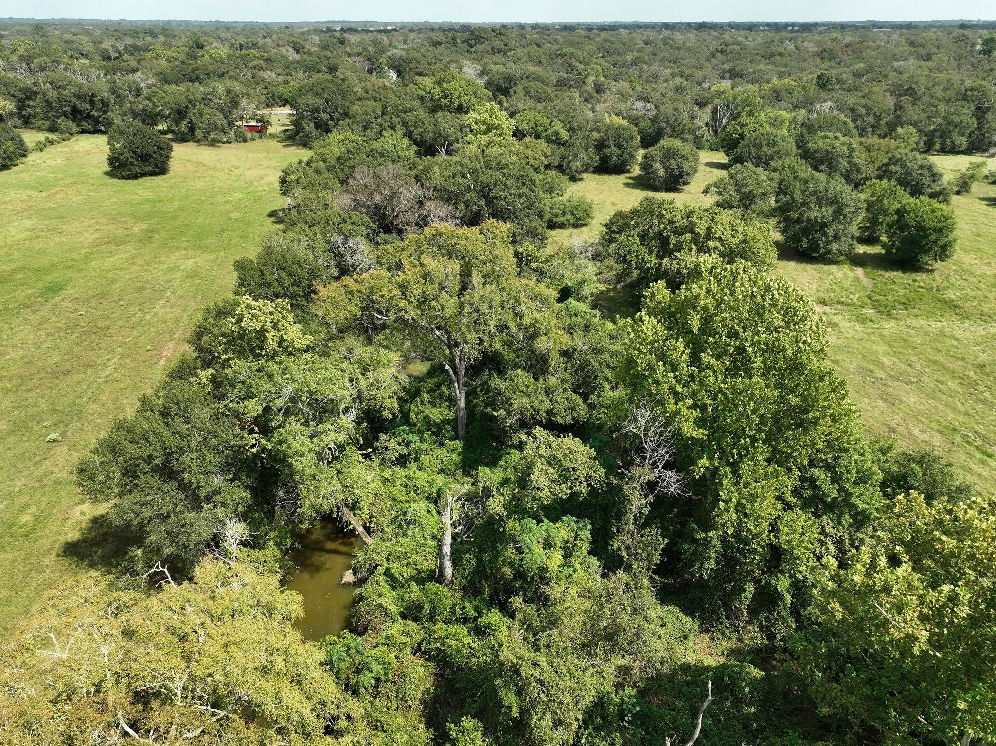 24783 Nine Bar Road Hempstead, TX 77445 - Photo 42 of 42 an aerial view of residential houses with outdoor space and trees