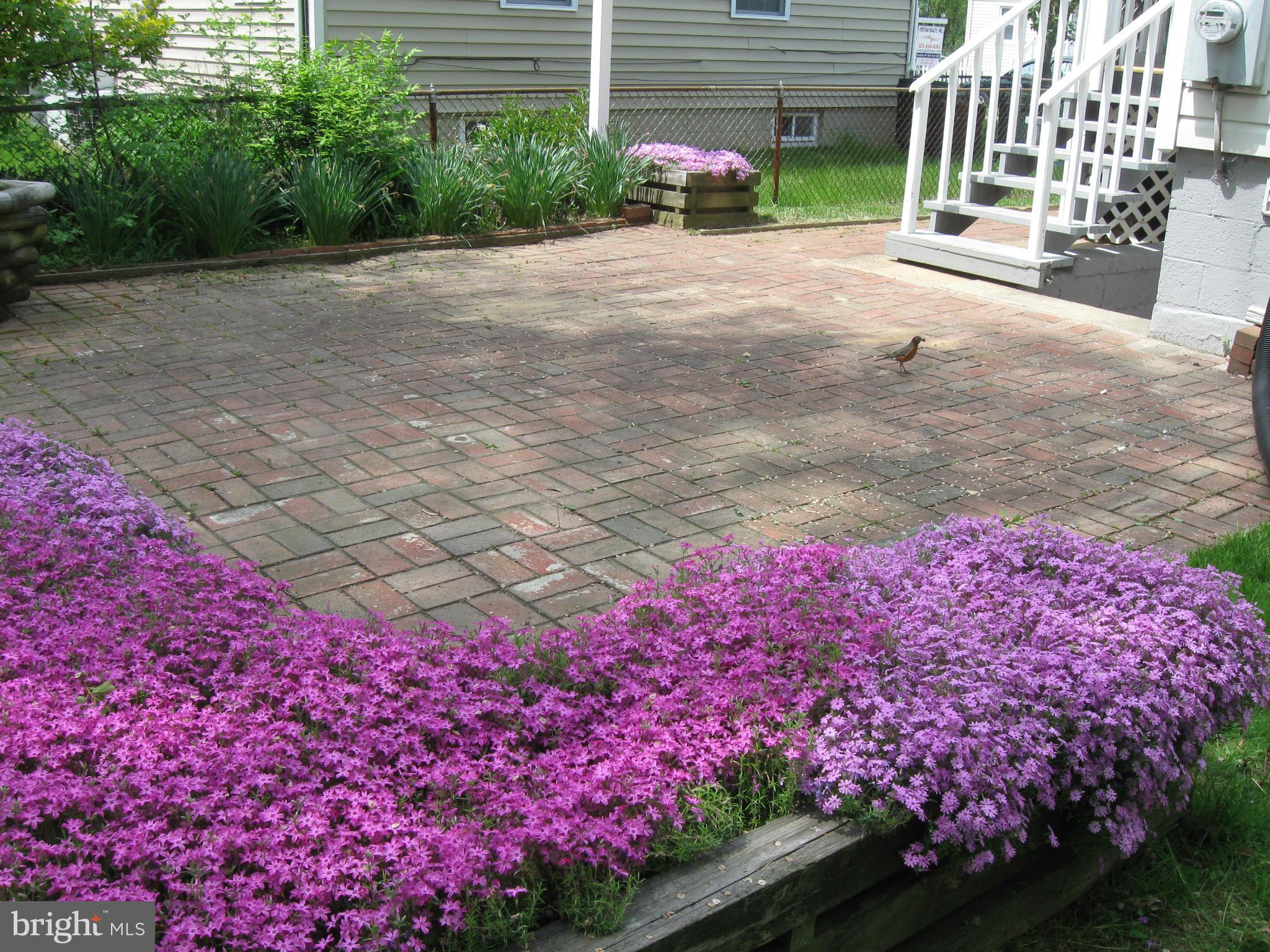 1607 Neely Road Silver Spring, MD 20903 - Photo 19 of 24 Relax on the patio