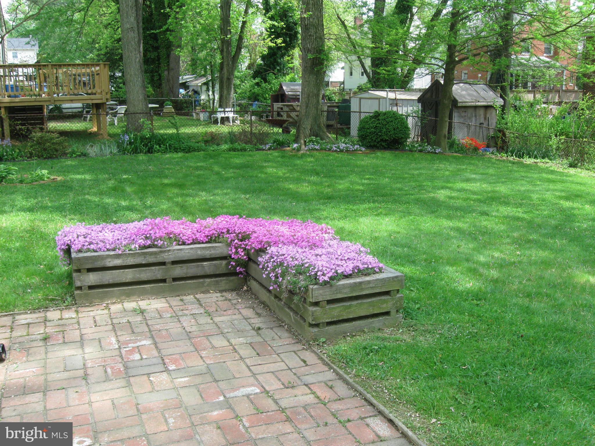 1607 Neely Road Silver Spring, MD 20903 - Photo 20 of 24 View of the gorgeous rear yard