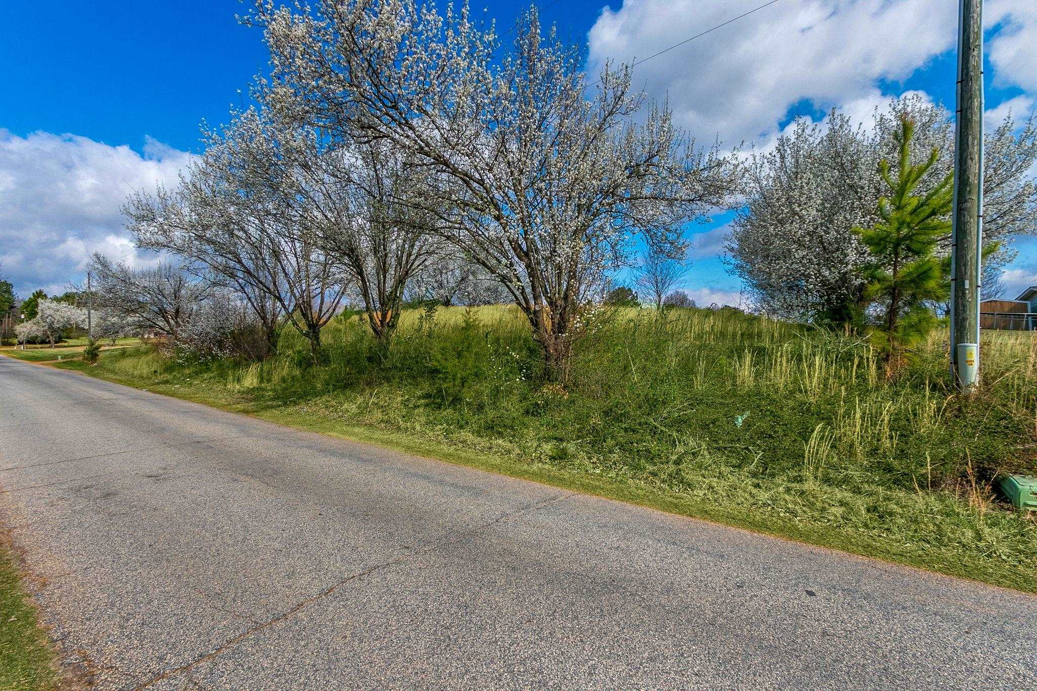 261 State Rd S-42-1850 Inman, SC 29349 - Photo 4 of 12