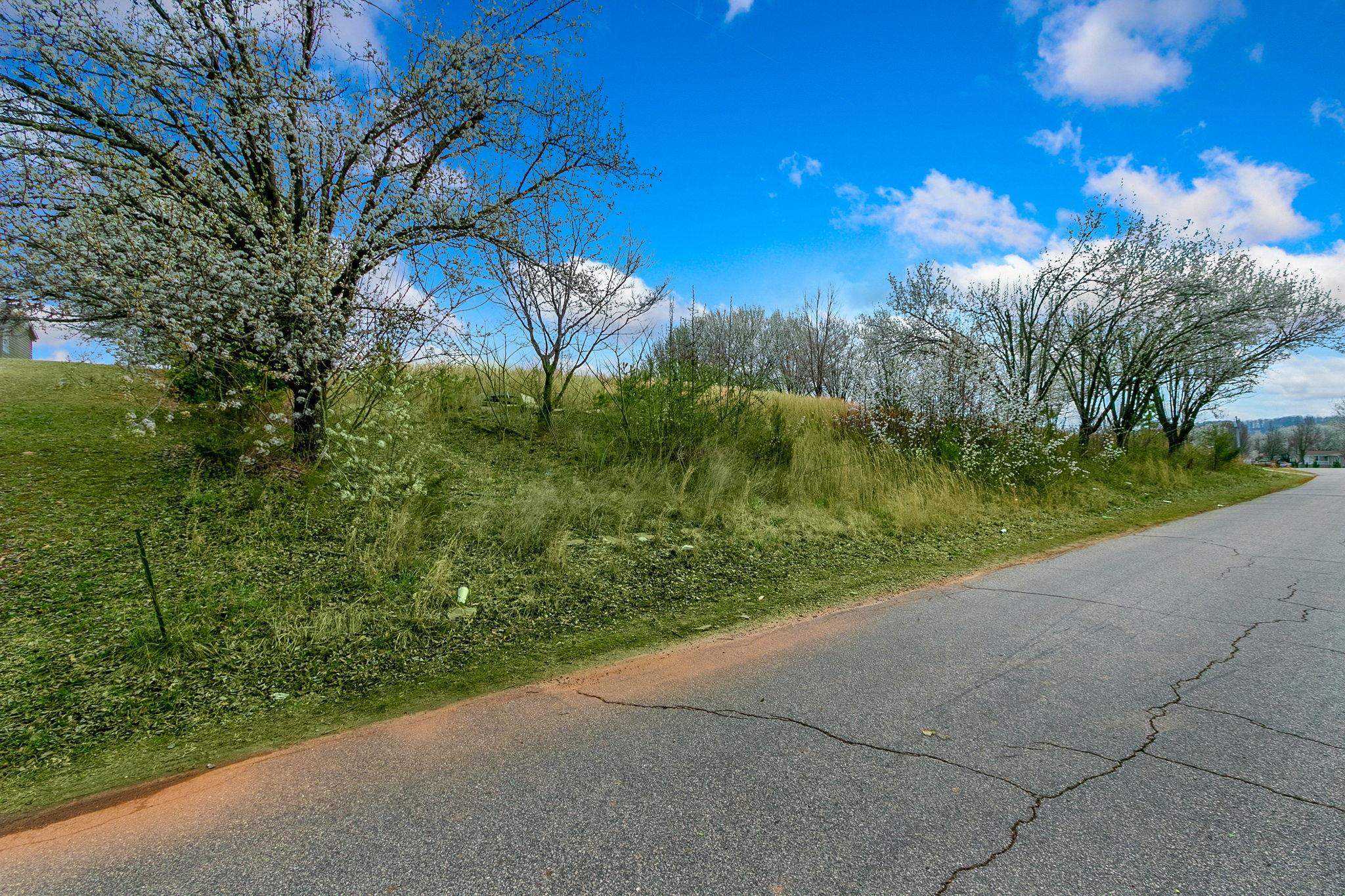 261 State Rd S-42-1850 Inman, SC 29349 - Photo 5 of 12