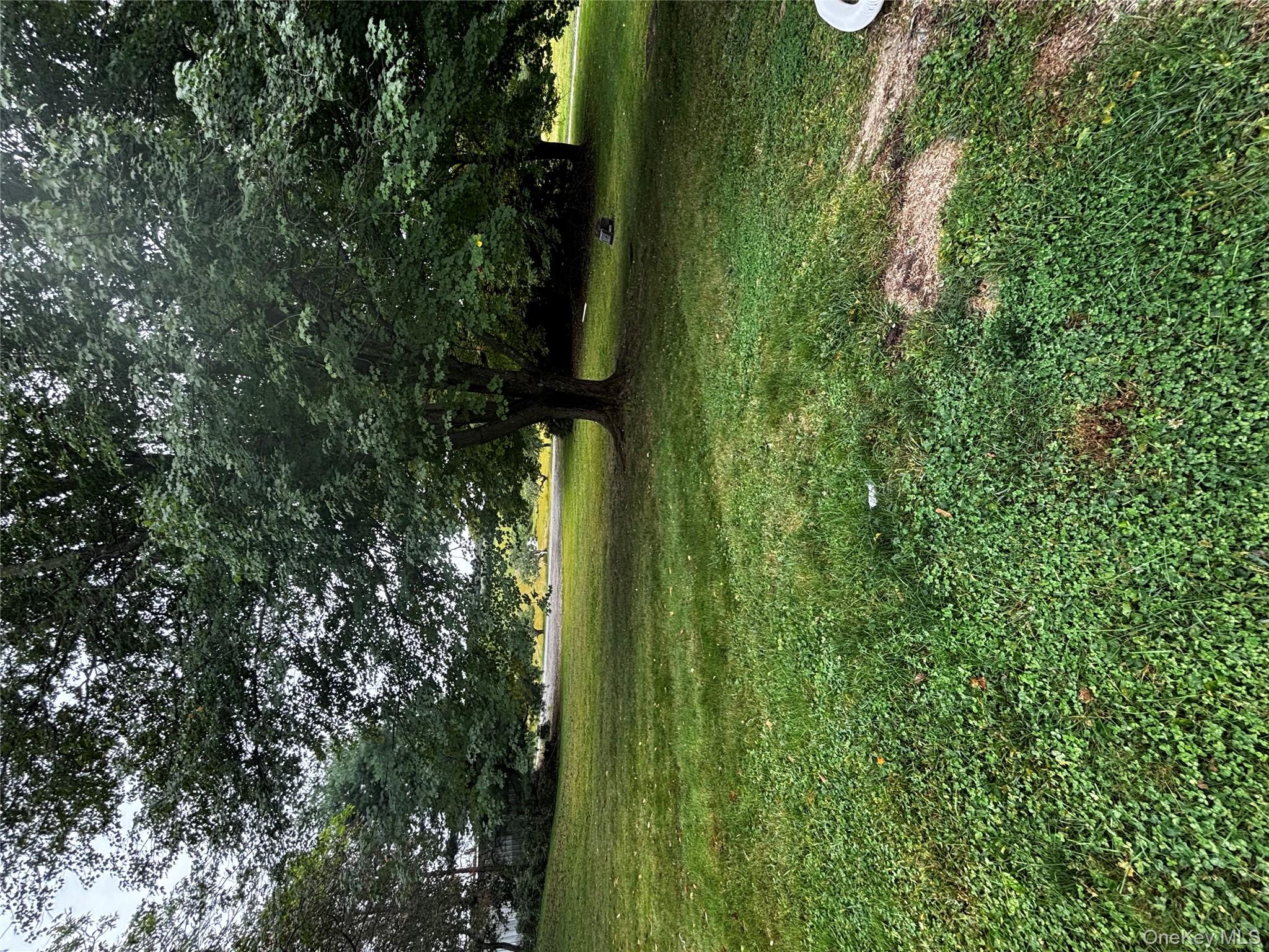 333 Bingham Road Marlboro, NY 12542 - Photo 14 of 27 a view of outdoor space and yard