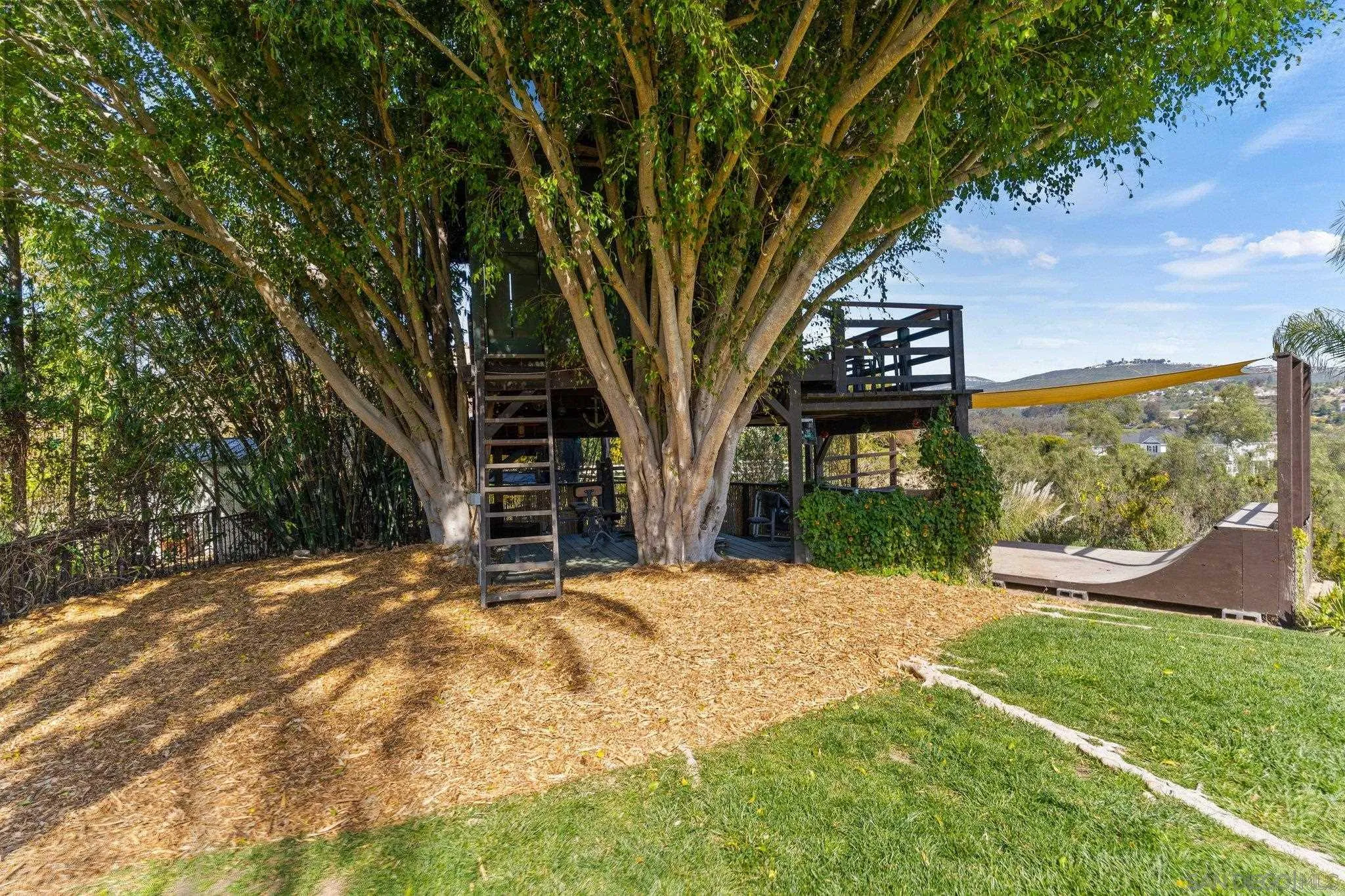 3381 Calle Margarita Encinitas, CA 92024 - Photo 37 of 47 a view of a trees in front of a building