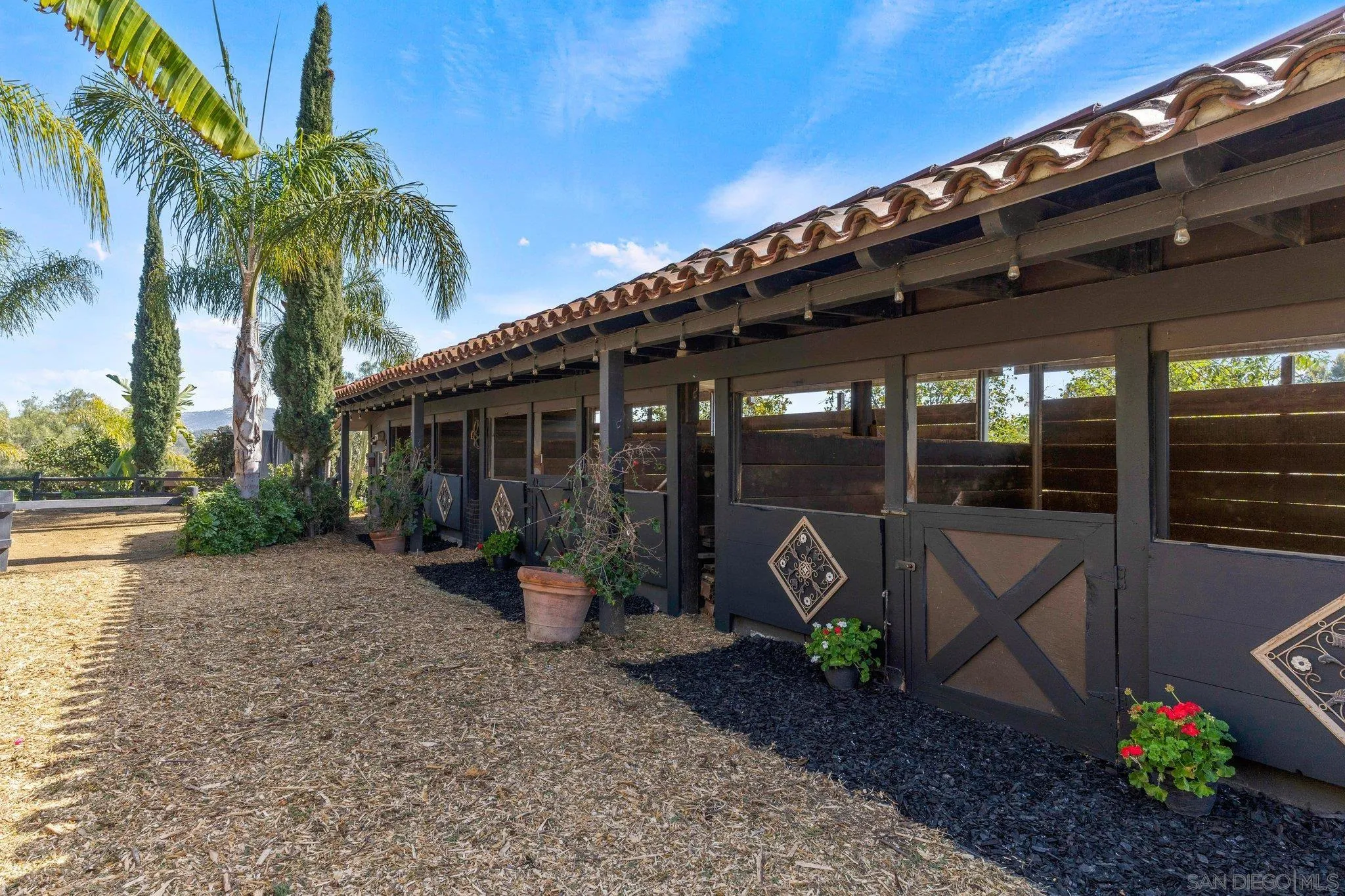 3381 Calle Margarita Encinitas, CA 92024 - Photo 40 of 47 a front view of a house with garden
