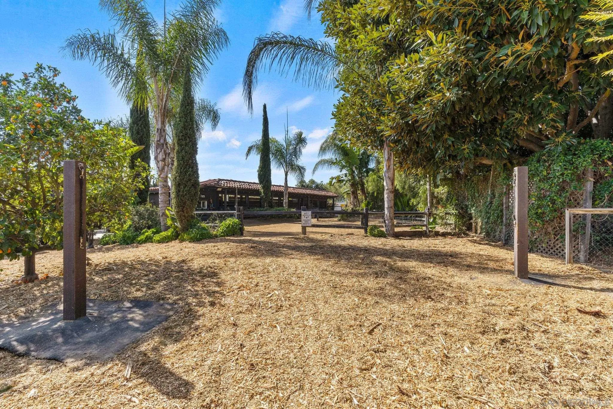3381 Calle Margarita Encinitas, CA 92024 - Photo 42 of 47 a view of a yard with palm tree
