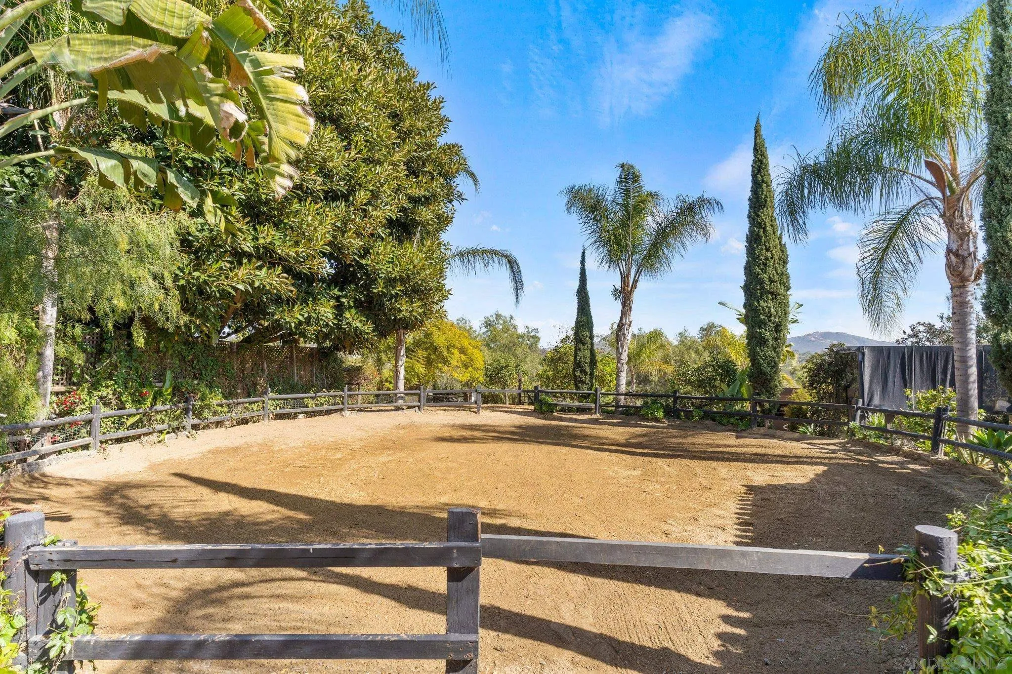 3381 Calle Margarita Encinitas, CA 92024 - Photo 43 of 47 a view of a yard with palm trees