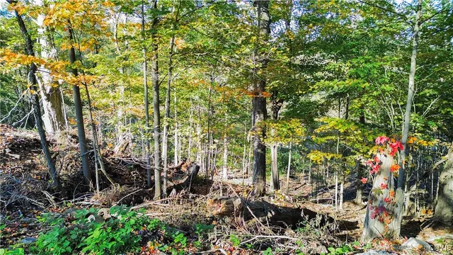 $43,500 | Harrison Avenue, Ilion, NY 13357