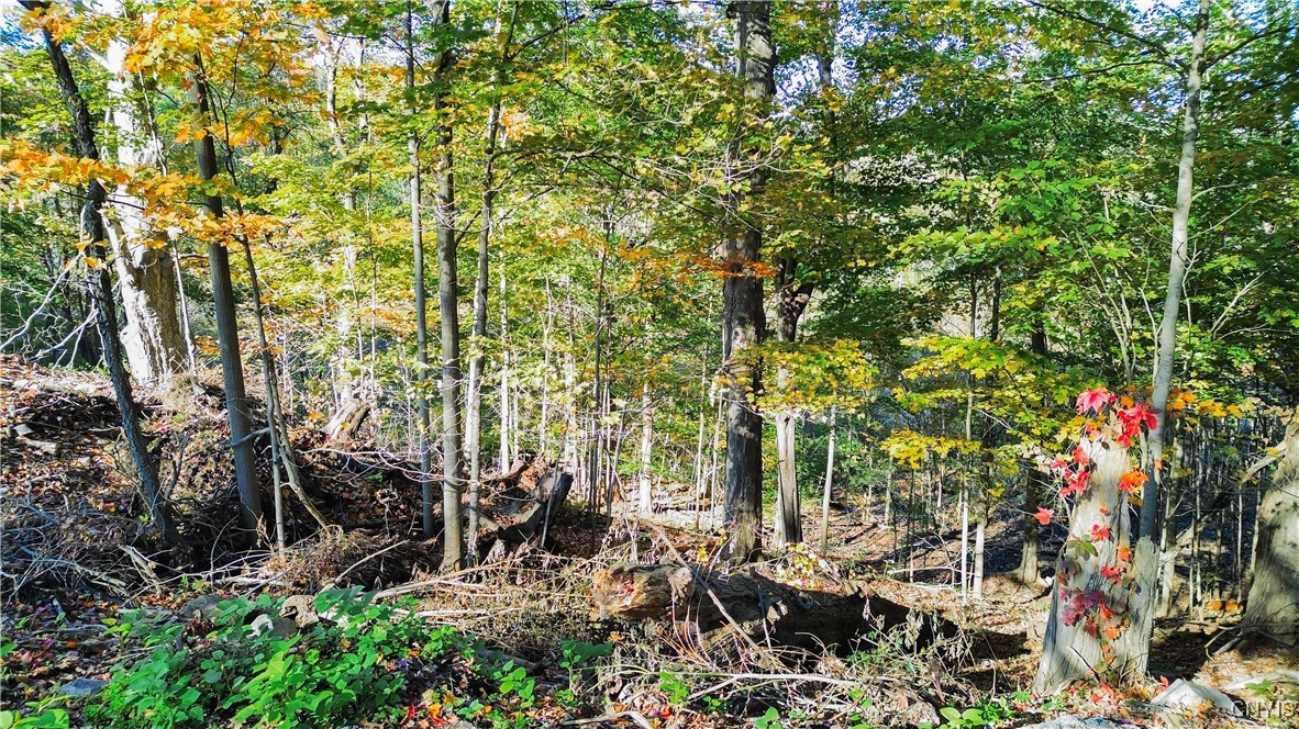 Harrison Avenue Ilion, NY 13357 - Photo 11 of 14