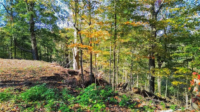 $43,500 | Harrison Avenue, Ilion, NY 13357