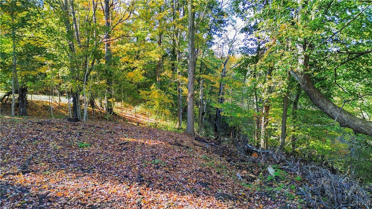 Harrison Avenue Ilion, NY 13357 - Photo 13 of 14