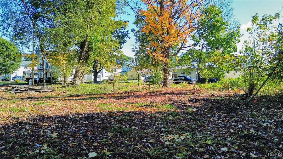 Harrison Avenue Ilion, NY 13357 - Photo 14 of 14