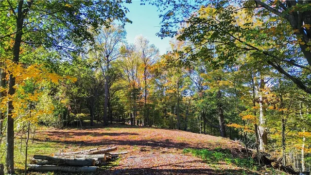 $43,500 | Harrison Avenue, Ilion, NY 13357