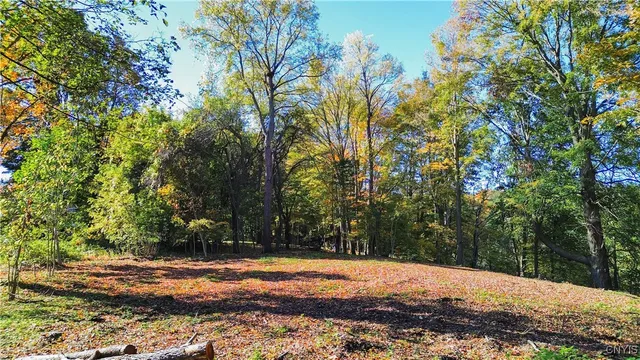 $43,500 | Harrison Avenue, Ilion, NY 13357