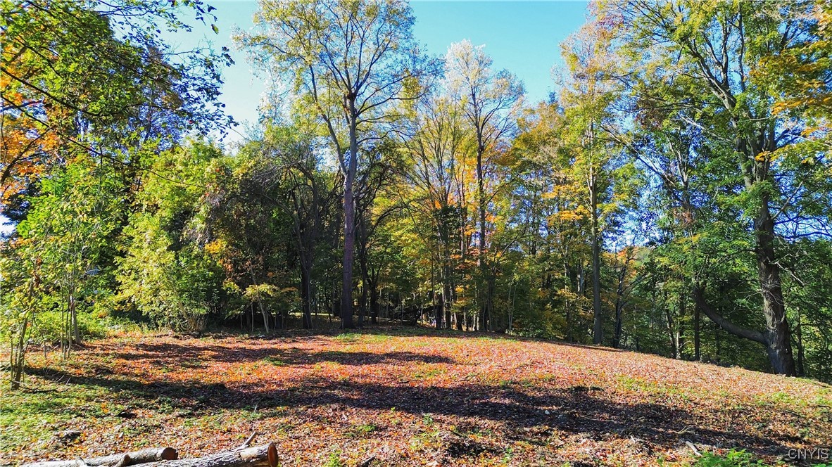 Harrison Avenue Ilion, NY 13357 - Photo 4 of 14