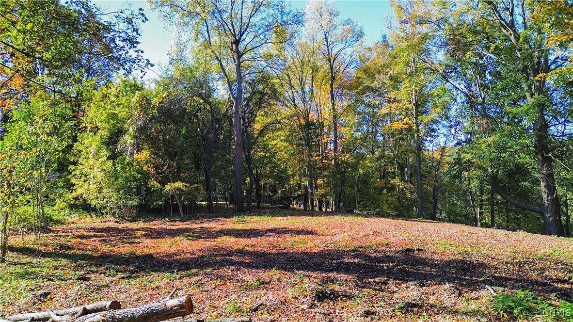 Harrison Avenue Ilion, NY 13357 - Photo 5 of 14