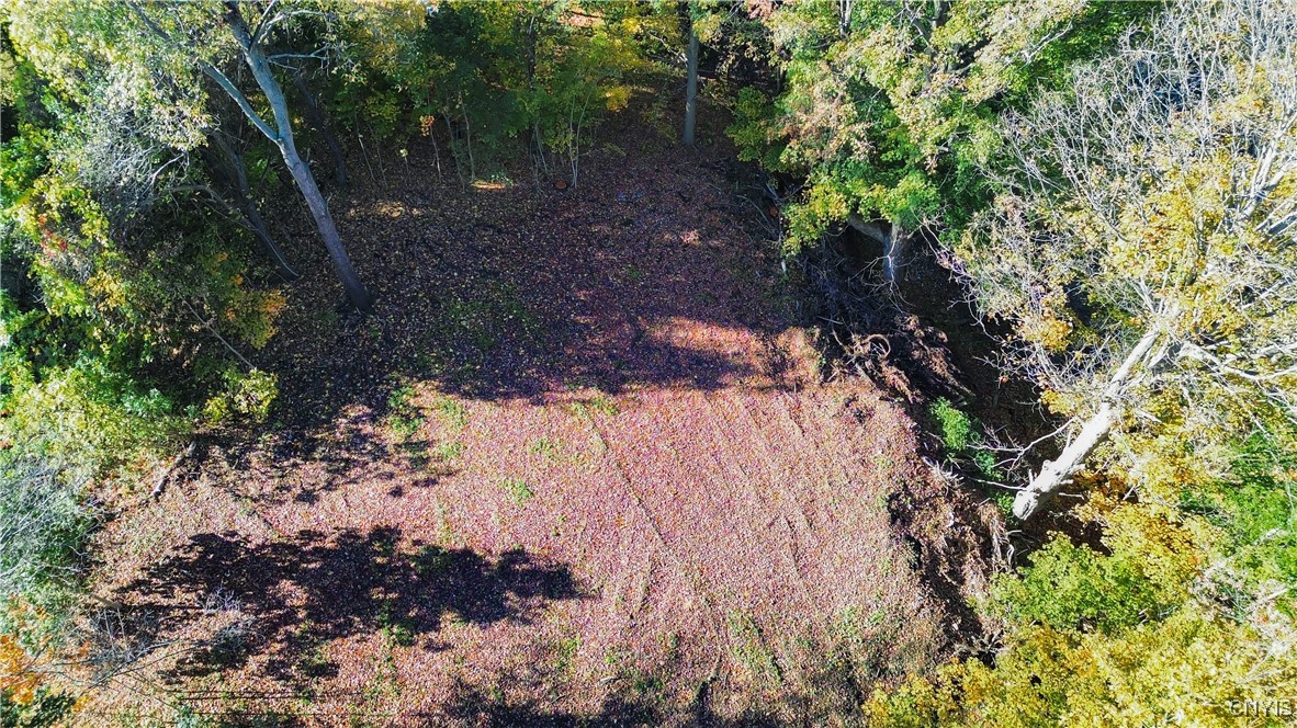 Harrison Avenue Ilion, NY 13357 - Photo 6 of 14