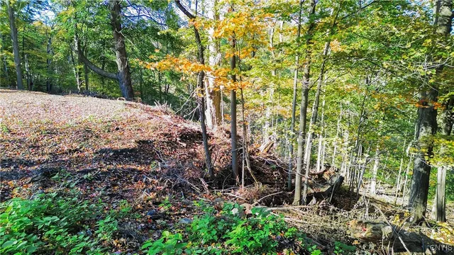 $43,500 | Harrison Avenue, Ilion, NY 13357