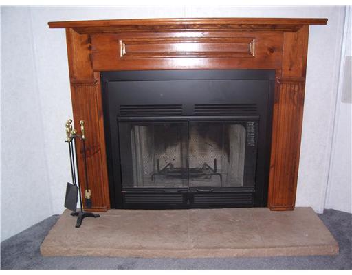 5235 Dutch Ridge Road Beaver, PA 15009 - Photo 7 of 18 Den/Family/Great Room. LOG BURNING FIREPLACE IN THE FAMILYROOM