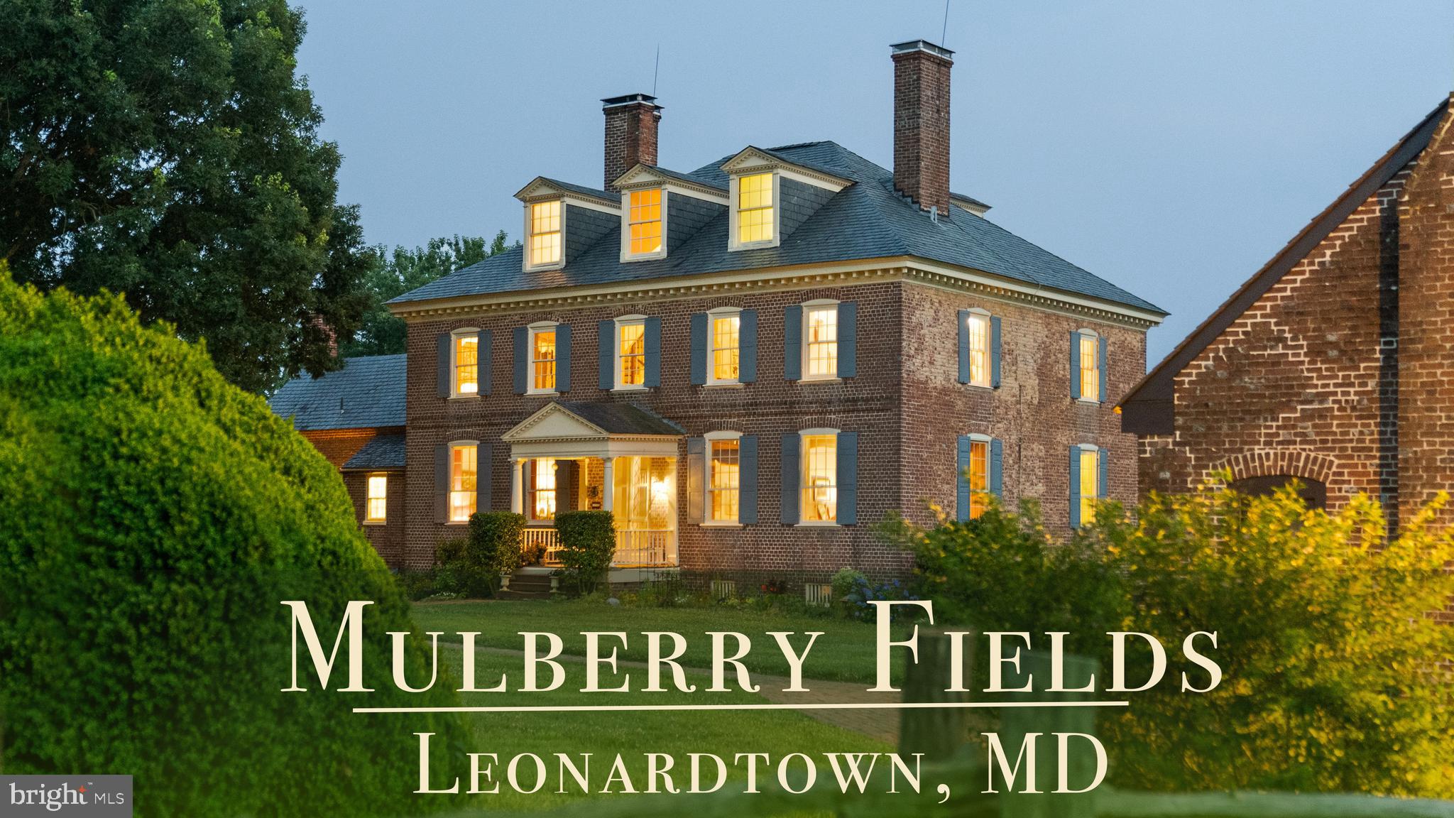 Mulberry Fields