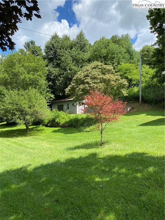 5622 Pine Swamp Road Sparta, NC 28675 - Photo 14 of 21 Gallery Image 14