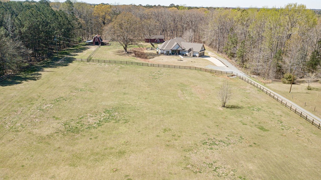 636 Judson Bulloch Road Warm Springs, GA 31830 - Photo 3 of 72 Gallery Image 3