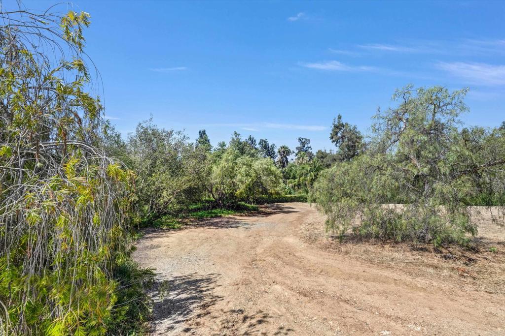 Colina Fuerte Rancho Santa Fe, CA 92067 - Photo 14 of 15 a view of a road with a yard