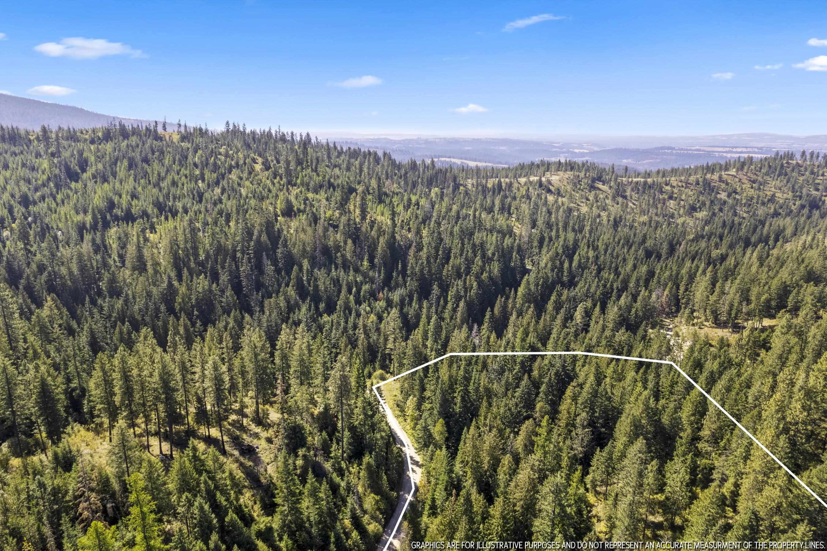 28420 Thunderhill Road Chattaroy, WA 99003 - Photo 5 of 22