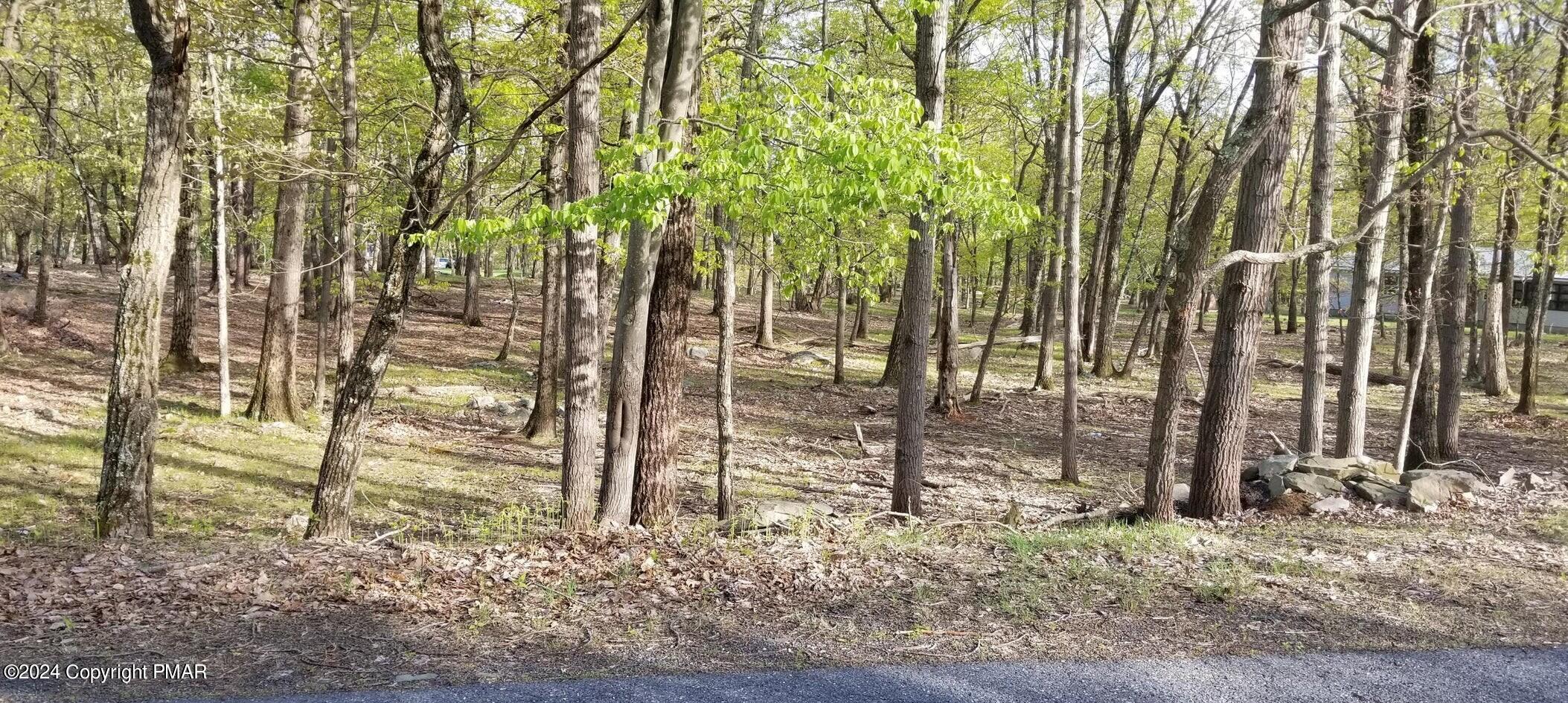 210 Hummingbird Court Bushkill, PA 18324 - Photo 2 of 3 land pic 1