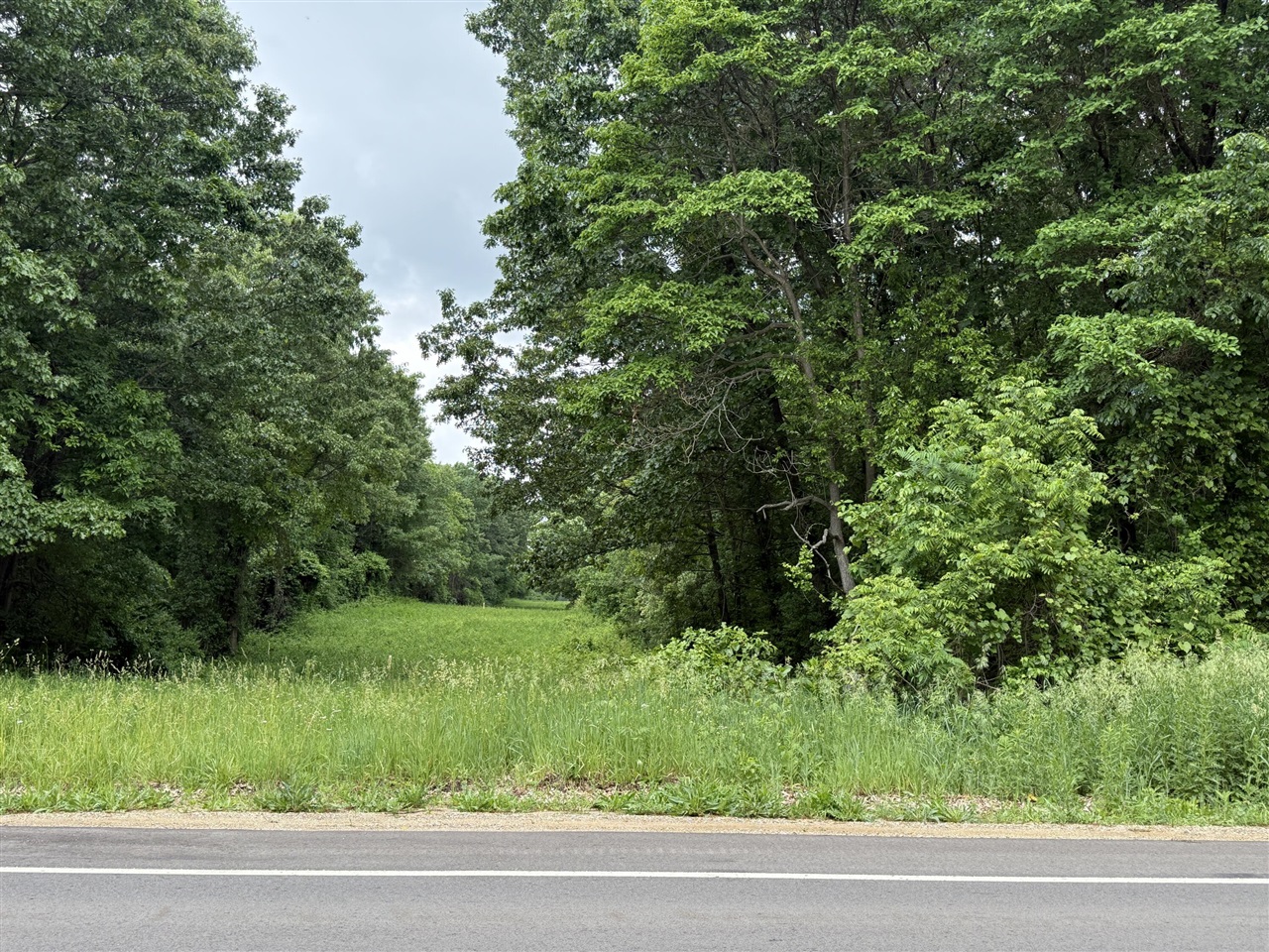 28 28 Mile Road Battle Creek, MI 49014 - Photo 5 of 5