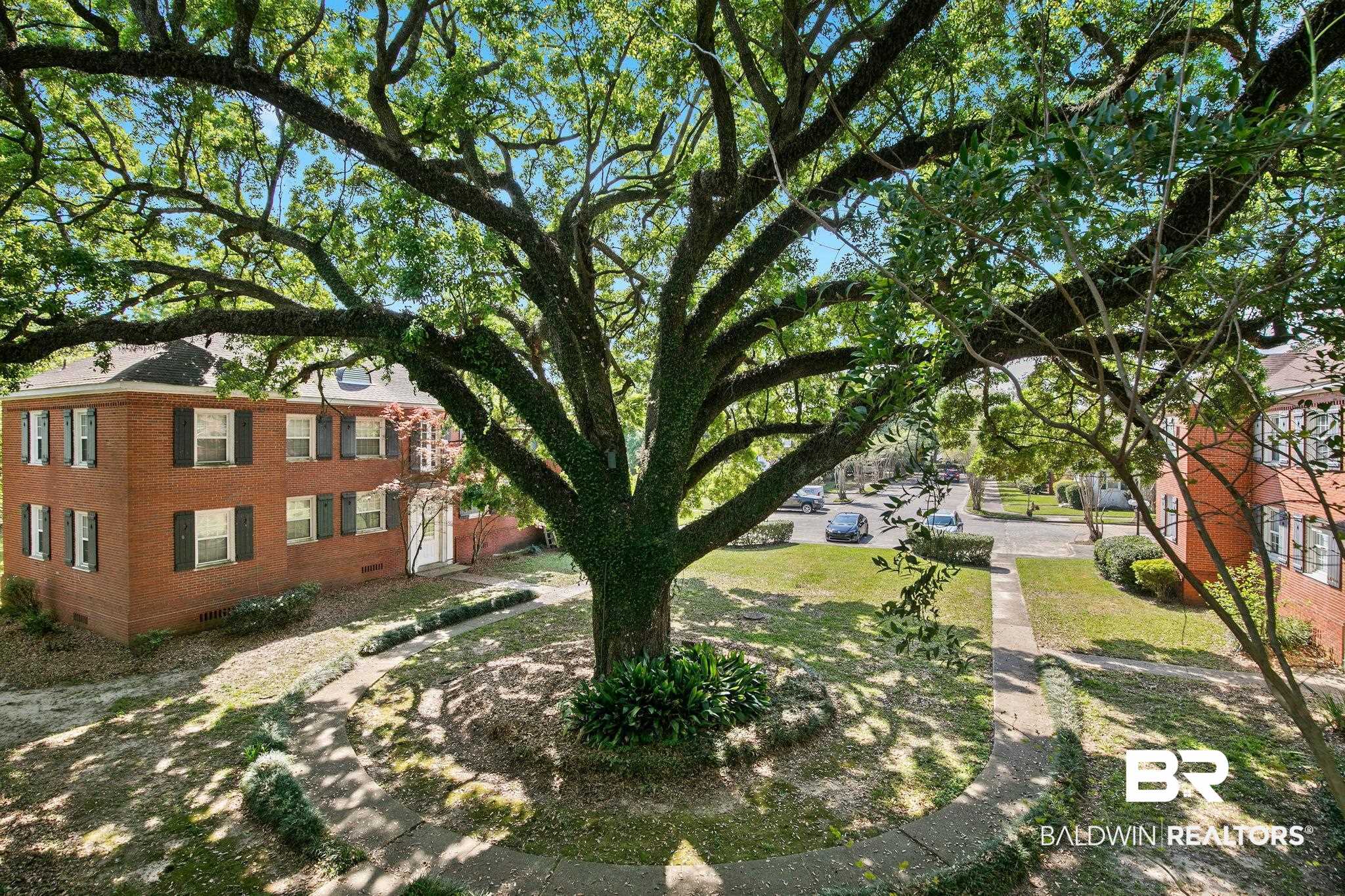 214 Upham Street, Unit 8D Mobile, AL 36607 - Photo 3 of 36 View of green lawn