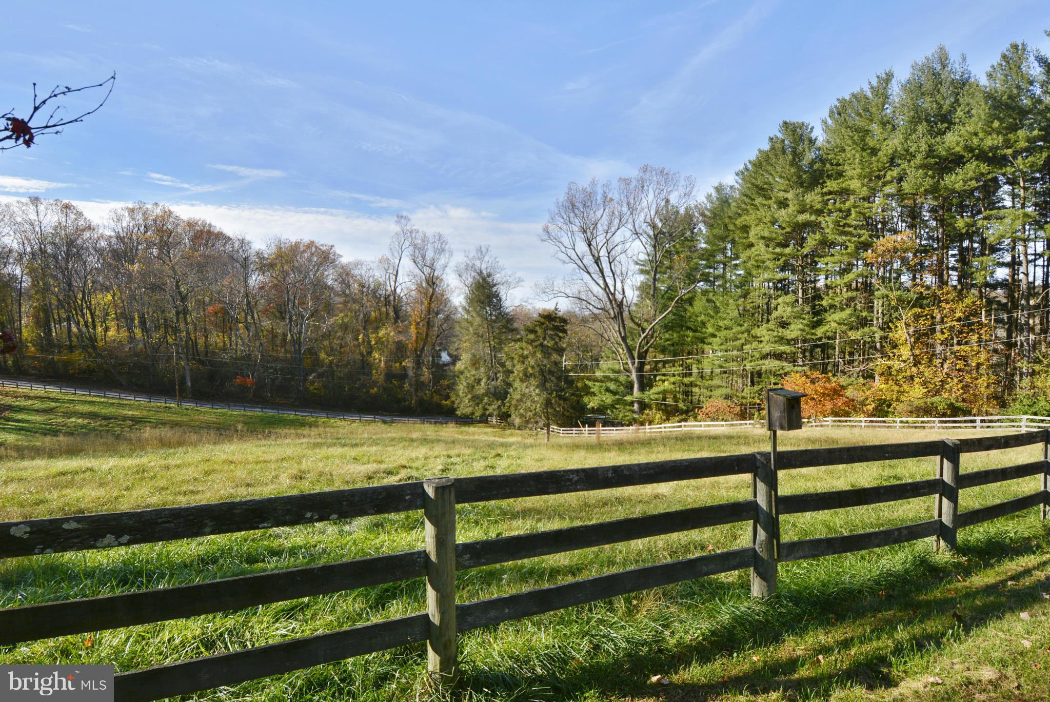 2227 Carroll Mill Road Phoenix, MD 21131 - Photo 7 of 30 a view of a yard with a bench and trees