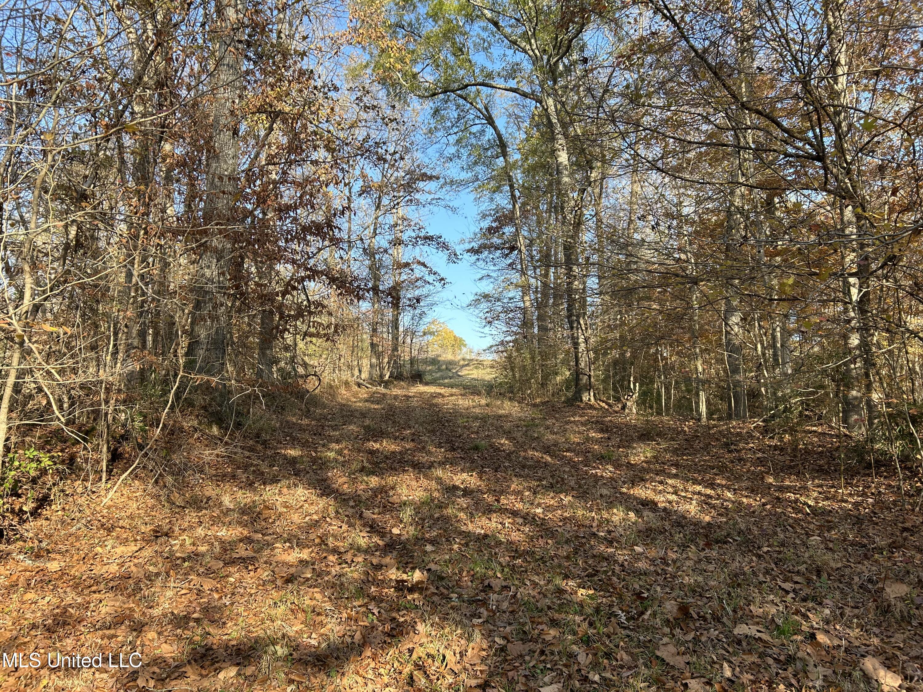 Henderson Road Bentonia, MS 39040 - Photo 13 of 56 Photo Dec 12 2025, 9 24 54 AM
