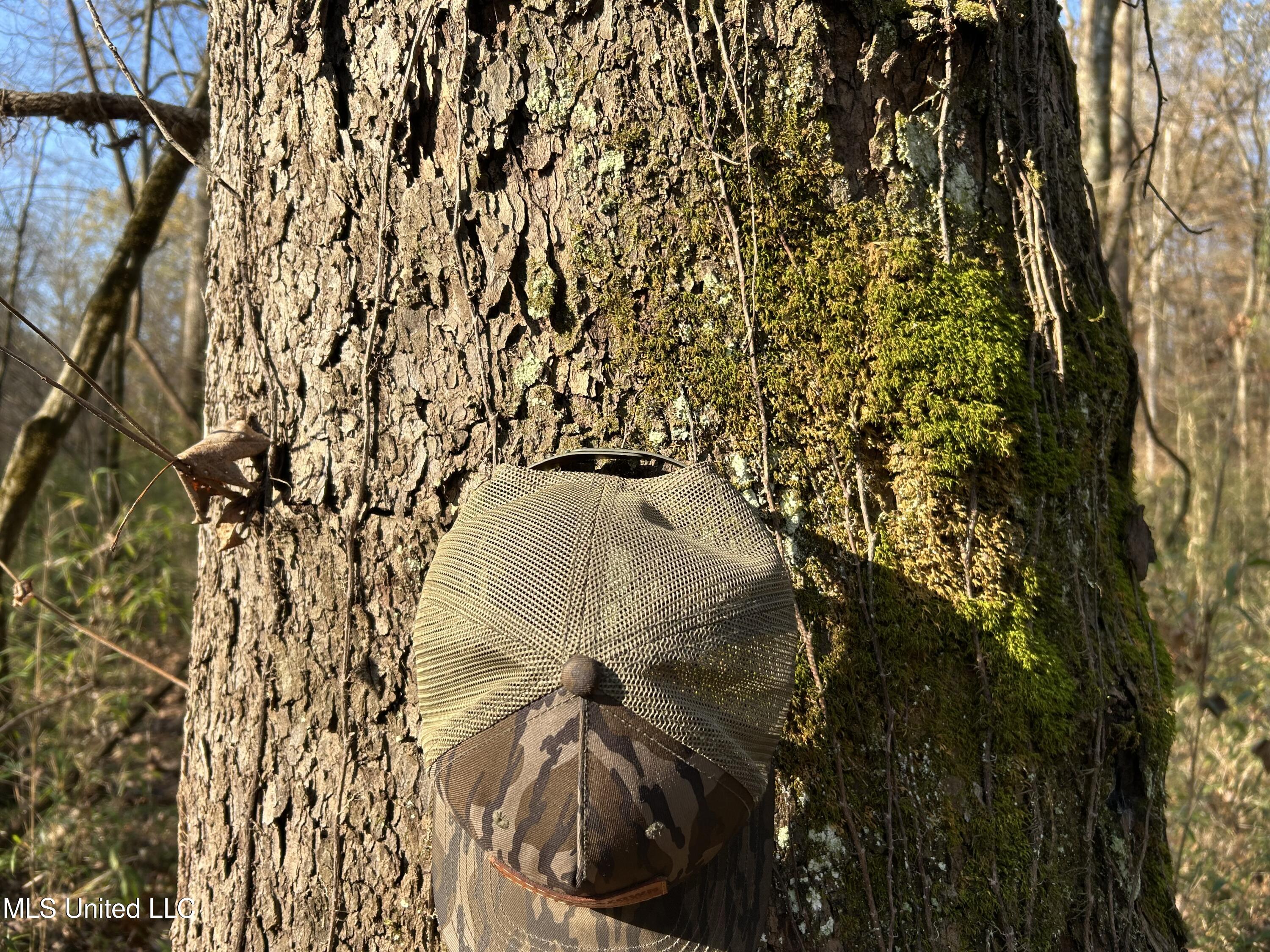 Henderson Road Bentonia, MS 39040 - Photo 19 of 56 Photo Dec 12 2025, 9 29 05 AM