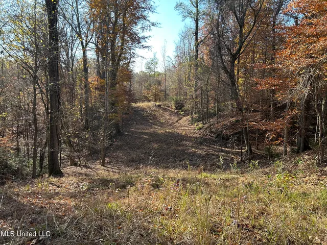 $266,000 | Henderson Road, Bentonia, MS 39040