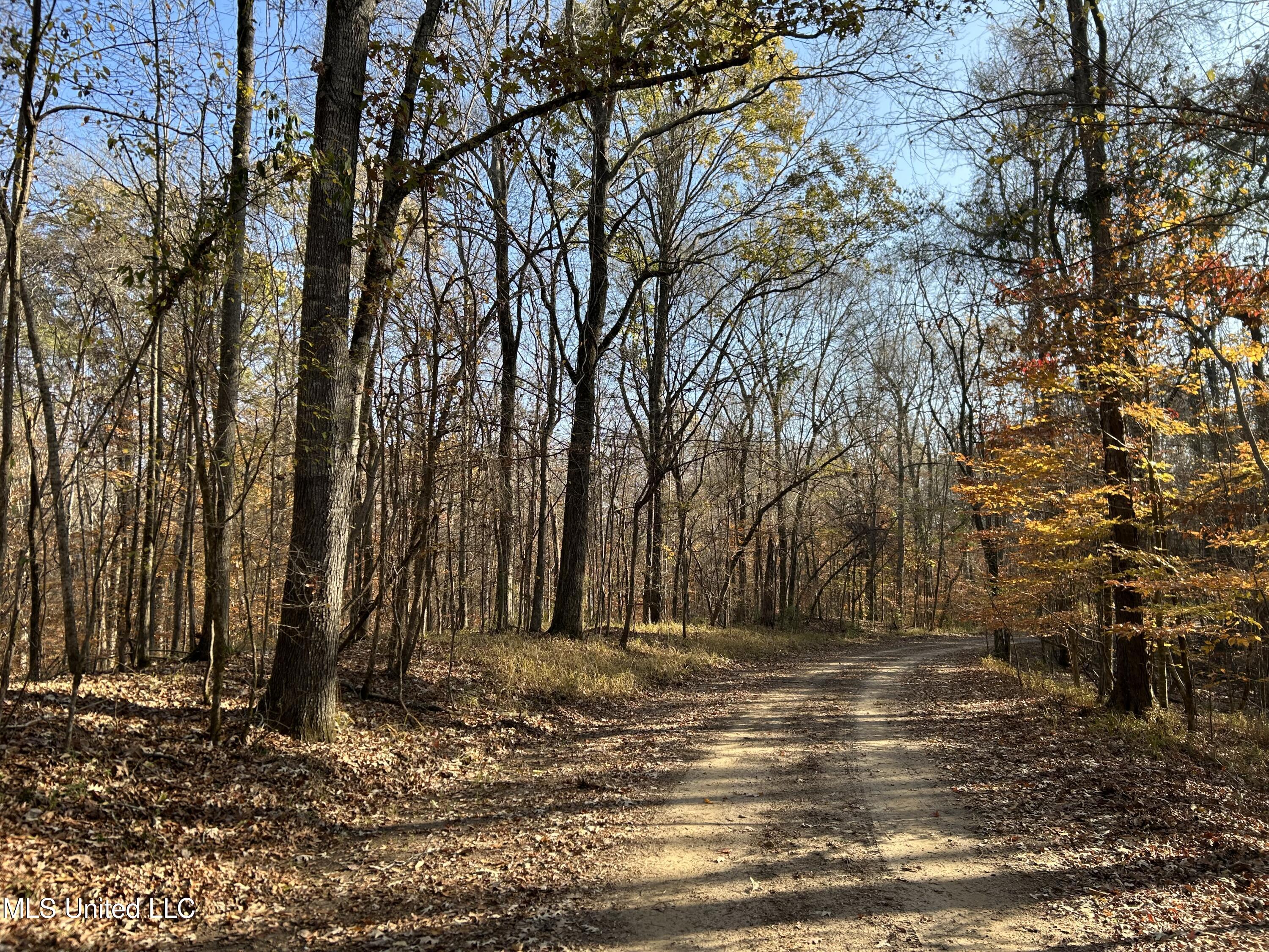 Henderson Road Bentonia, MS 39040 - Photo 28 of 56 Photo Dec 12 2025, 9 47 55 AM