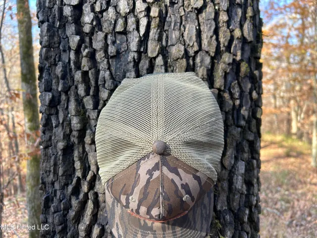 $266,000 | Henderson Road, Bentonia, MS 39040