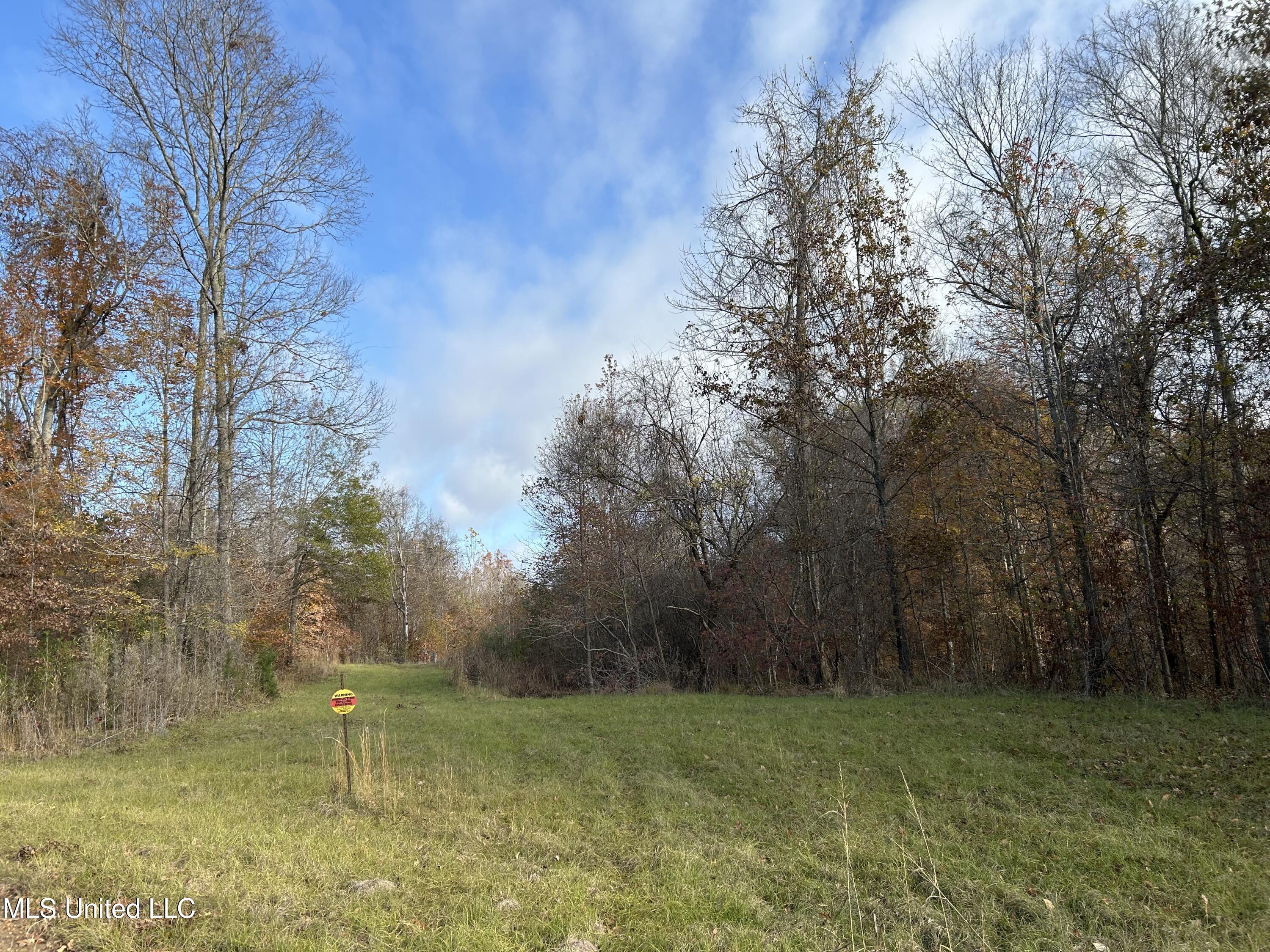 Henderson Road Bentonia, MS 39040 - Photo 3 of 56 Photo Dec 12 2025, 9 15 37 AM