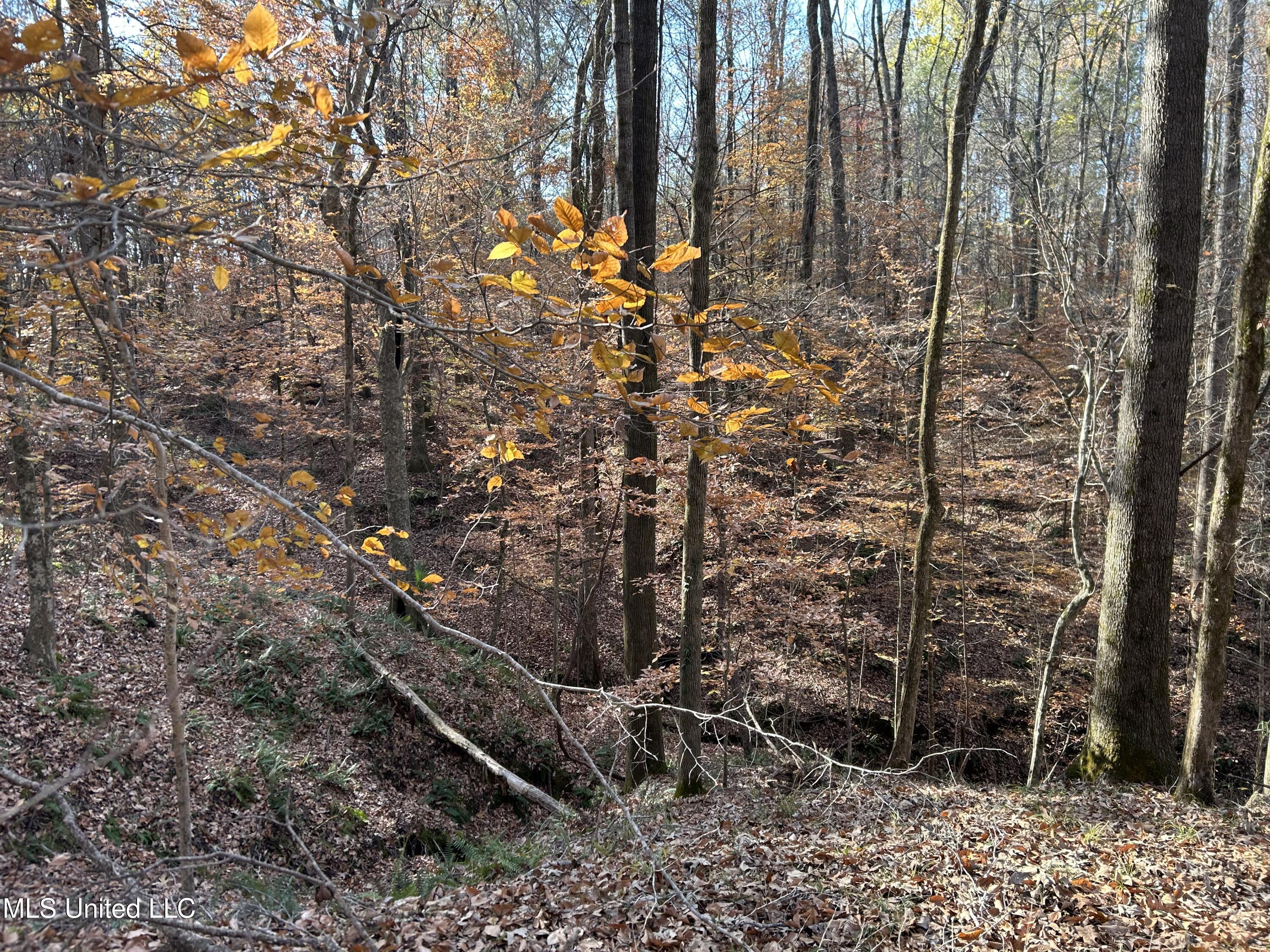 Henderson Road Bentonia, MS 39040 - Photo 32 of 56 Photo Dec 12 2025, 9 50 09 AM