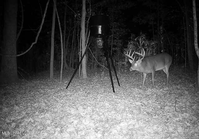 Henderson Road Bentonia, MS 39040 - Photo 40 of 56 864049056372180-100-3-11192025023604-W10