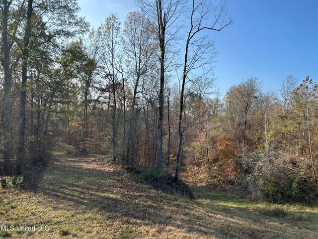 $266,000 | Henderson Road, Bentonia, MS 39040