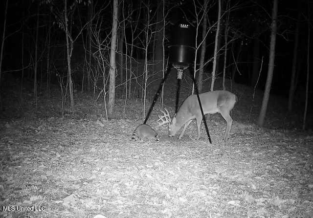 Henderson Road Bentonia, MS 39040 - Photo 46 of 56 IMG_2003