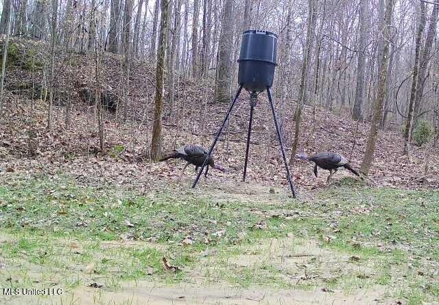 Henderson Road Bentonia, MS 39040 - Photo 50 of 56 IMG_2023